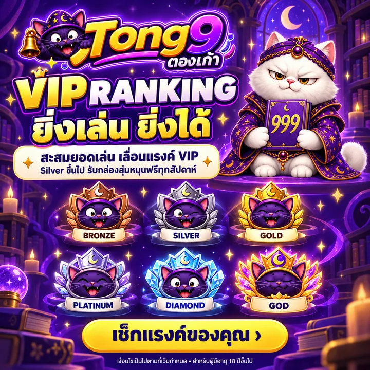 ระดับ VIP